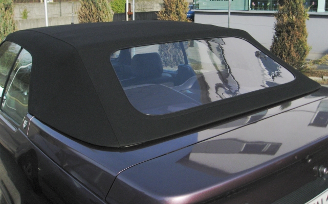 Verdeck R19