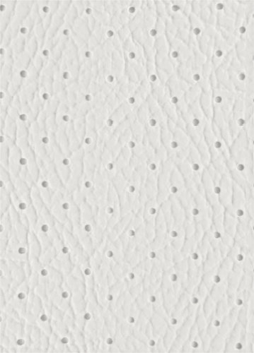 Muster Himmel 328A PVC perforiert weiß